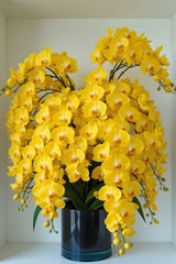 Premium Orchid Seeds (4-Pack/Colors) - White, Pink, Yellow, Blue | Free Plant Growth Kit (2 Fertilizers + Organic Khaad)
